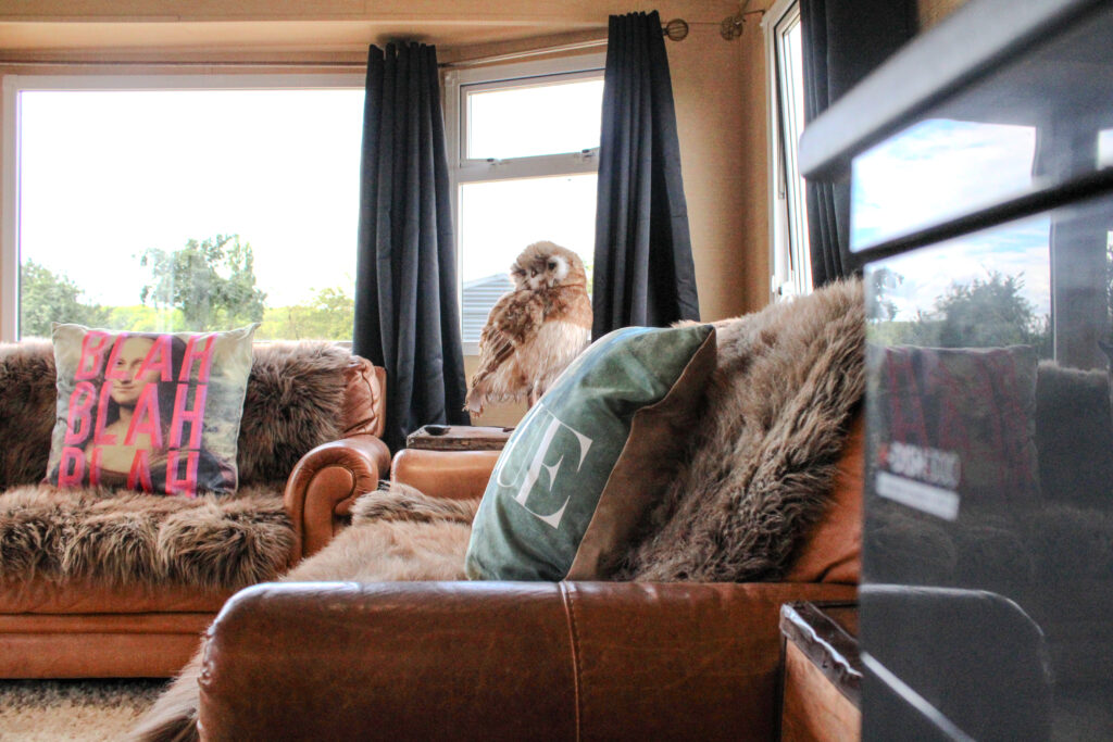 living room lodge in Lincolnshire