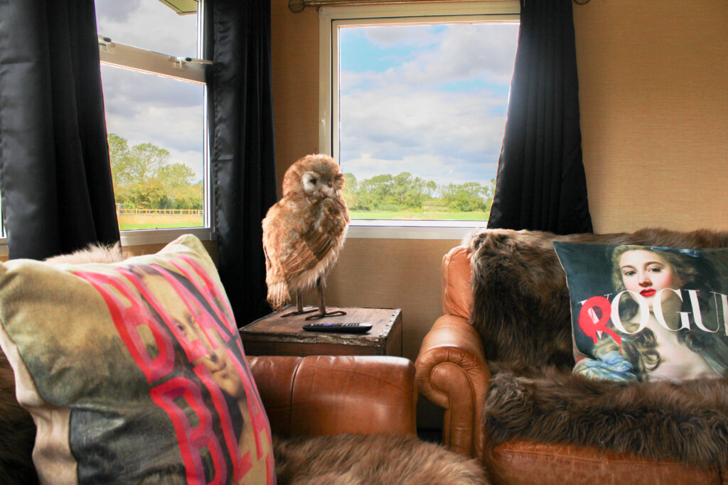 escape in Lincolnshire